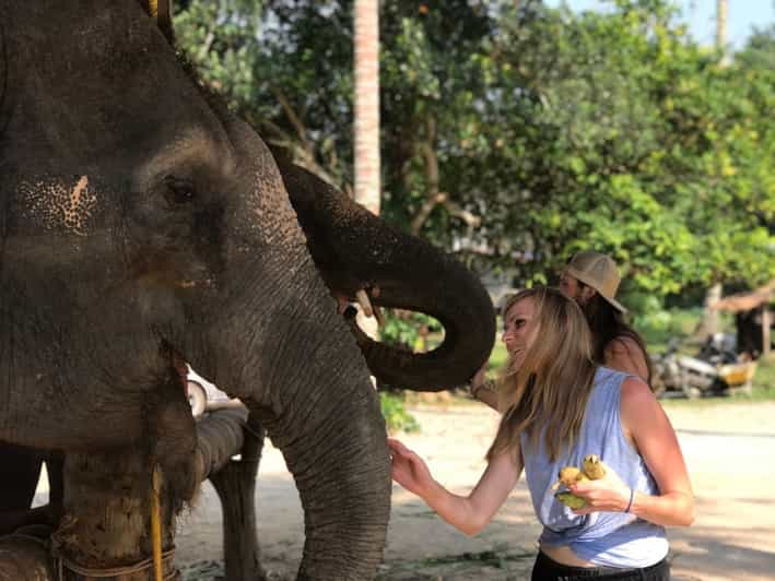 Krabi Ao Nang Elephant Sanctuary Half Day Tour Getyourguide 