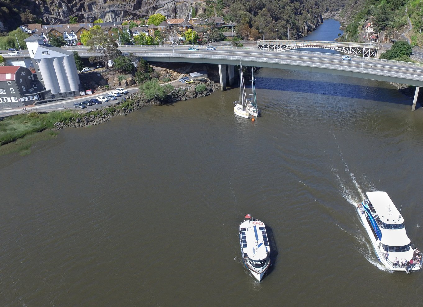 Launceston: 50-minutters Cataract Gorge-krydstogt