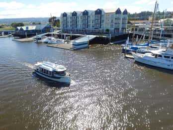 Launceston: 50-Minute Cataract Gorge Cruise
