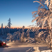 Rovaniemi : Safari en motoneige et soirée autour d'un feu de camp
