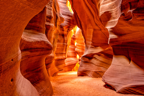 Depuis Las Vegas : Lower Antelope Canyon et Horseshoe BendDepuis Las Vegas : excursion de 1 jour à l’Antelope Canyon