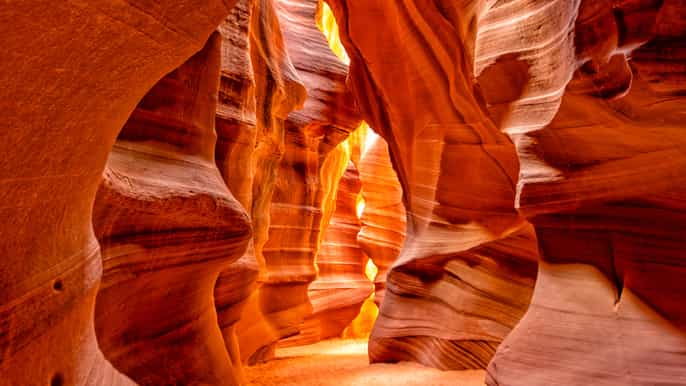 antelope canyon and horseshoe bend day tour from las vegas