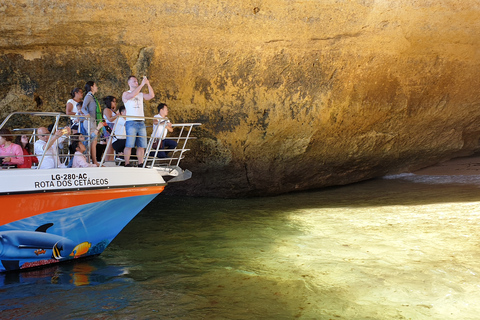 Desde Lagos: tour de Benagil para familias en catamarán