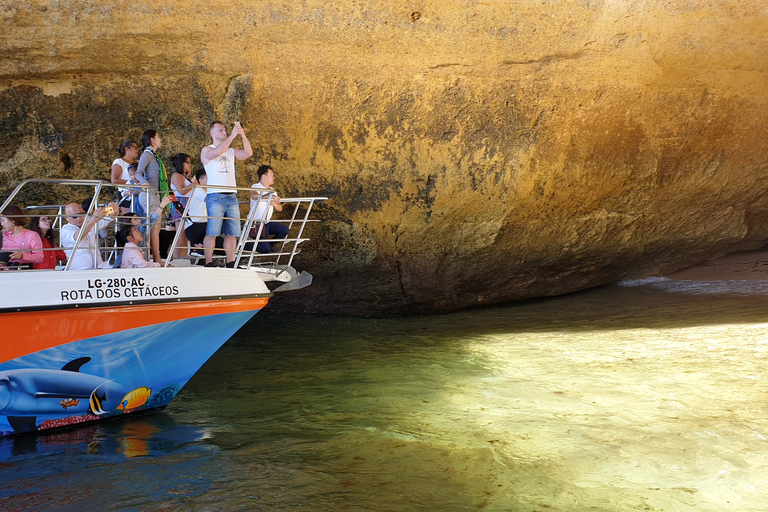 Desde Lagos: tour de Benagil para familias en catamarán