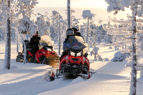 Rovaniemi: Schneemobilsafari zu einer RentierfarmSchneemobilsafari zu einer Rentierfarm