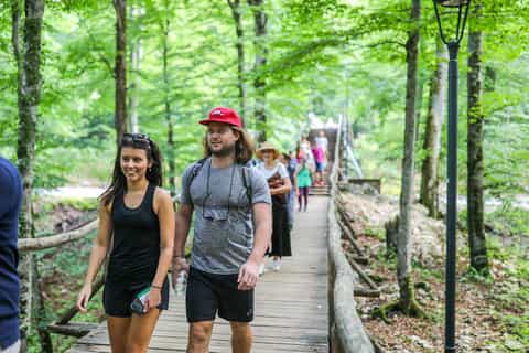 From Zadar: Plitvice National Park Full-Day Tour