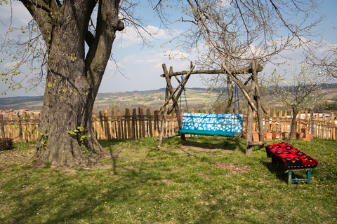 From Belgrade: Full-Day Tour to Serbian Village with Lunch