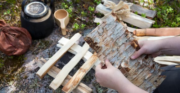 Rovaniemi: Autumn-Summer Arctic Survival Tour