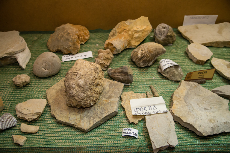 From Belgrade: Full-Day Tour to Serbian Village with Lunch