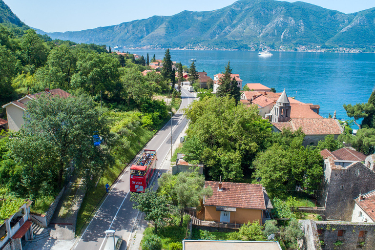 Kotor: tour turístico en autobús con paradas libres y tour a pieKotor: autobús turístico con paradas libres y recorrido a pie