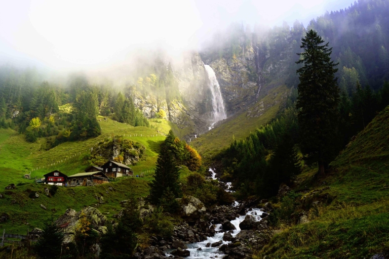 From Zurich: Swiss Natural Wonders Private Tour with Lunch