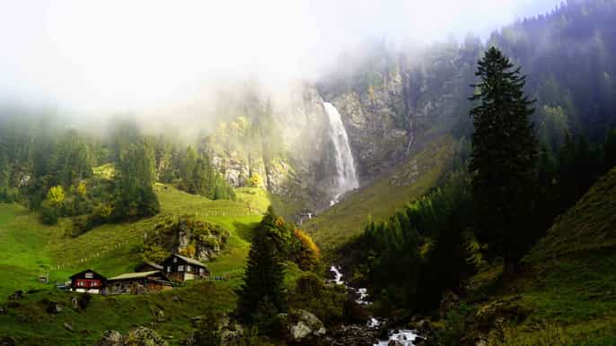 from zurich swiss natural wonders private tour with lunch