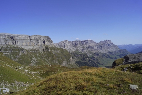 Desde Zúrich: tour privado de maravillas naturales suizas con almuerzo