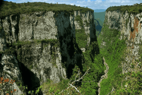 De Gramado e Canela: Excursão ao Cânion do Itaimbezinho