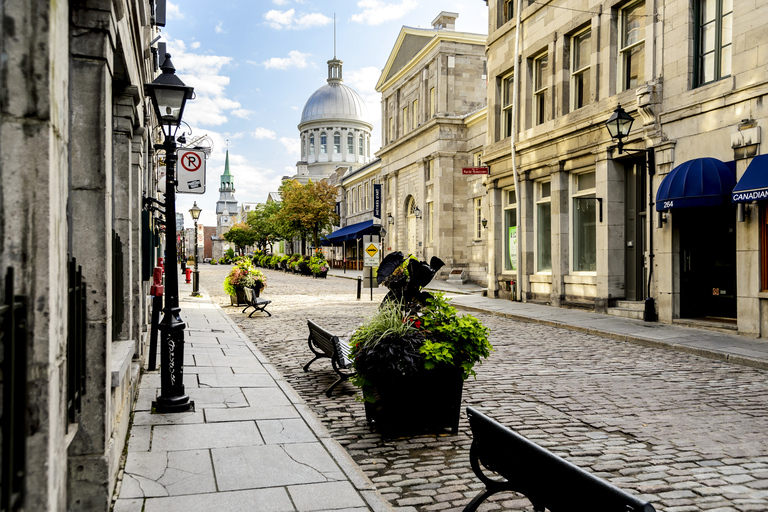 Montreal: Small Group Sightseeing Tour with Seasonal Cruise Shared Tour