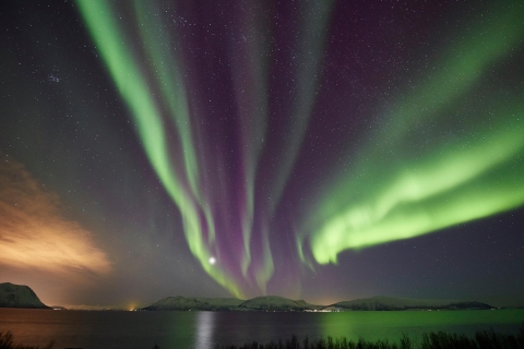 Tromso: Northern Lights Photo Excursion