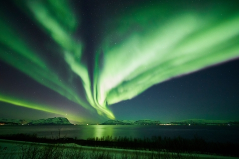 Tromso: excursion photographique aux aurores boréales