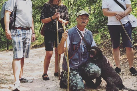 Verona: Truffle Hunting Experience & Amarone Tasting