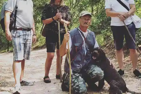ヴェローナ：トリュフ狩り体験とアマローネの試飲