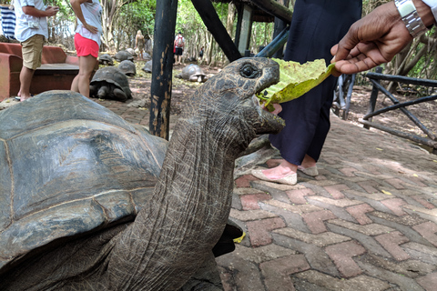 Zanzibar : île de Changuu et Stone Town avec déjeuner