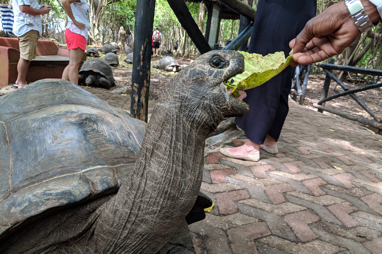 Zanzibar: Changuu-ön och stenstaden-rundtur inklusive lunch