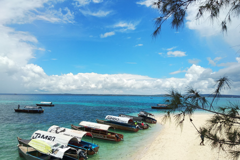 Zanzibar: Changuu-ön och stenstaden-rundtur inklusive lunch