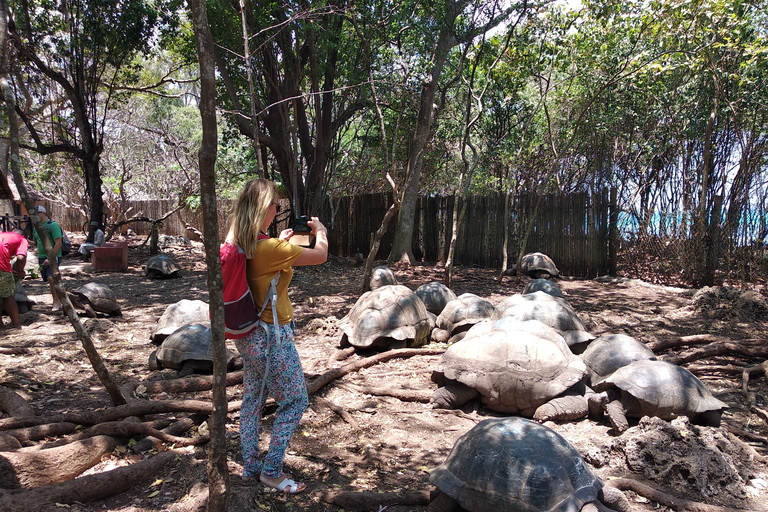 Sansibar: Changuu und Stone Town Tour mit Mittagessen