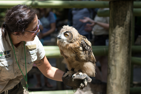 New Orleans: Audubon Zoo Ticket and Combination Option Audubon Zoo, Aquarium, and Insectarium Combo Ticket