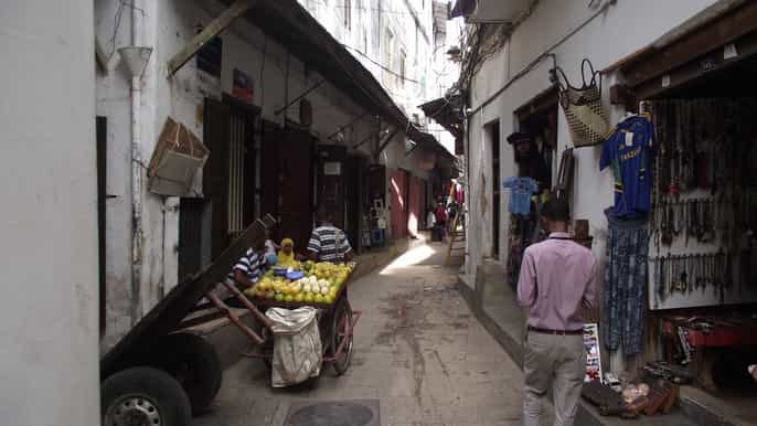 zanzibar stone town e fattoria delle spezie con pranzo