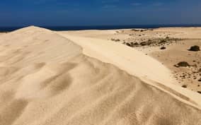 - Canarie.it