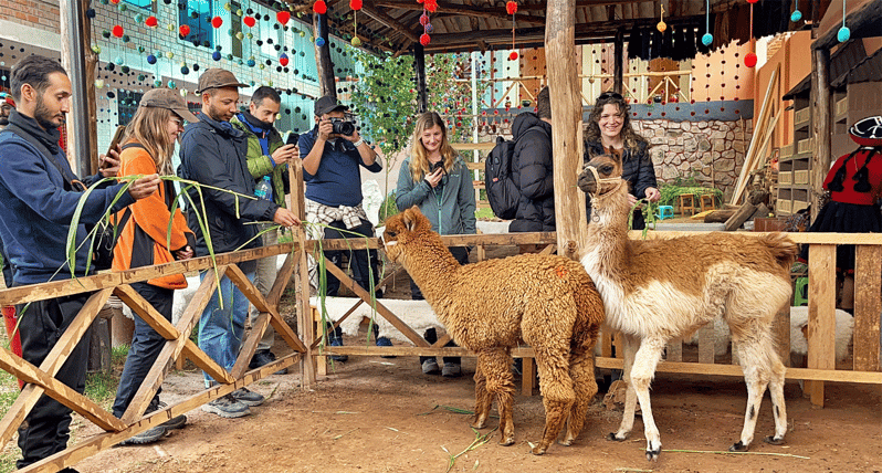 Desde Cusco: Valle Sagrado y Minas de Sal de Maras con Almuerzo