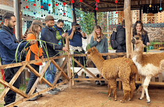 Ab Cusco: Valle Sagrado & Salzminen-Tour mit Mittagessen vom Buffet