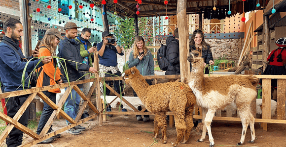 Cusco: Sacred Valley & Salt Mines Tour with buffet Lunch