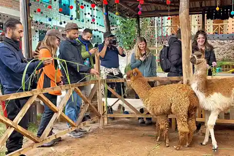 De Cusco: Excursão ao Vale Sagrado e às Minas de Sal de Maras com almoço