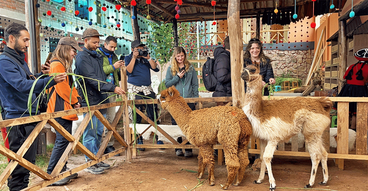 Heiliges Tal ab Cusco – Moray & Salzmienen Tour