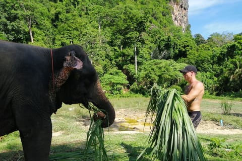 Krabi: Elephant Bathing & ATV Adventure Combo