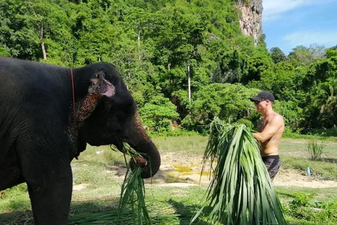 Krabi: Elephant Bathing & ATV Adventure Combo