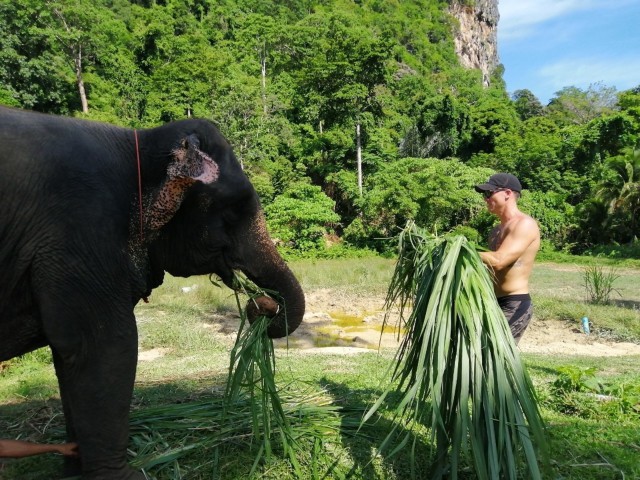 Krabi: Elephant Bathing & ATV Adventure Combo