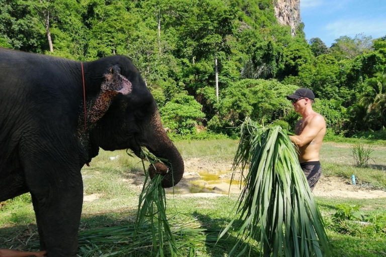 Krabi: combo bain d'éléphant et aventure en VTT