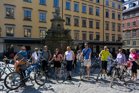 Stoccolma: Tour guidato in biciclettaTour in olandese