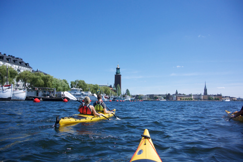 Stockholm: Guided Kayak City Tour & Optional Midsummer Meal Evening Tour with Meal