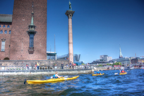 Stockholm: Guided Kayak City Tour & Optional Midsummer Meal Daytime Tour without Meal