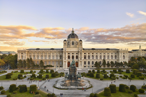 Dagsbiljett till Kunsthistorisches Museum i Wien