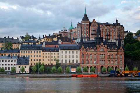 Stockholm: Södermalm E-Bike TourStandaardoptie