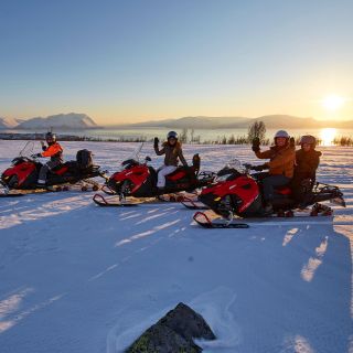 Fra Tromsø: Snescooter Safari i Lyngen Alperne med måltid