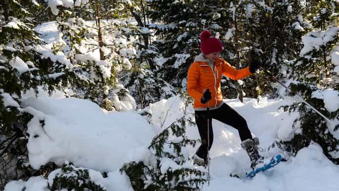 from stockholm snowshoeing in the wild