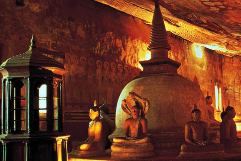 Z Kandy: Jednodniowa wycieczka do Sigiriya i DambullaZ Kandy: jednodniowa wycieczka do Sigiriya i Dambulla