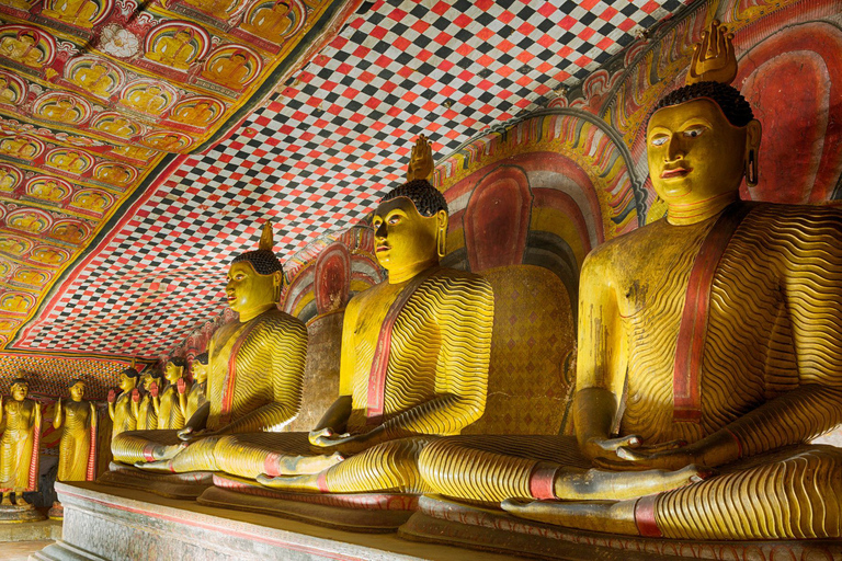 Vanuit Kandy: Dagtrip Sigiriya en DambullaVan Kandy: dagtrip naar Sigiriya en Dambulla