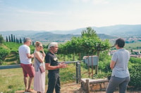 From Verona, Valpolicella and Amarone Wine Tasting Tour - Housity
