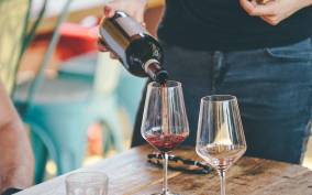 From Verona: Valpolicella and Amarone Wine Tasting Tour